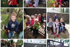 collage_20221006_160519