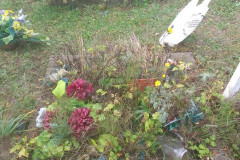 img_20221102_181721