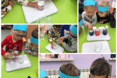 collage_20221003_192324