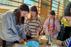 batch_20250402_114757