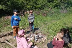 IMG_20240516_104450