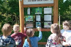 IMG_20240516_110321