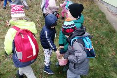 img_20221202_122247