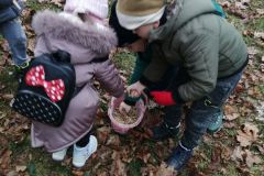 img_20221202_122456