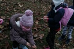 img_20221202_122519