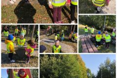 collage_20220929_175550