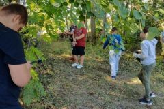 IMG_20240920_112349000-Copy