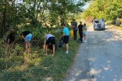 IMG_20240920_112355611-Copy
