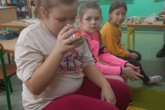 IMG_20241115_103636