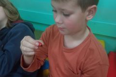 IMG_20241115_105642