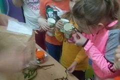 IMG_20241115_110915