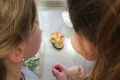 IMG_20240313_102446